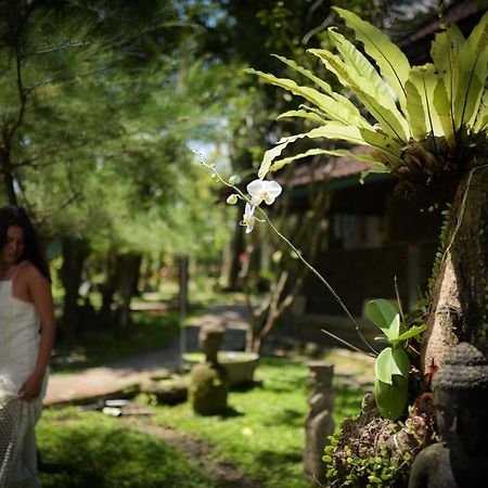 Taman Nauli Boutique Rooms Canggu Extérieur photo