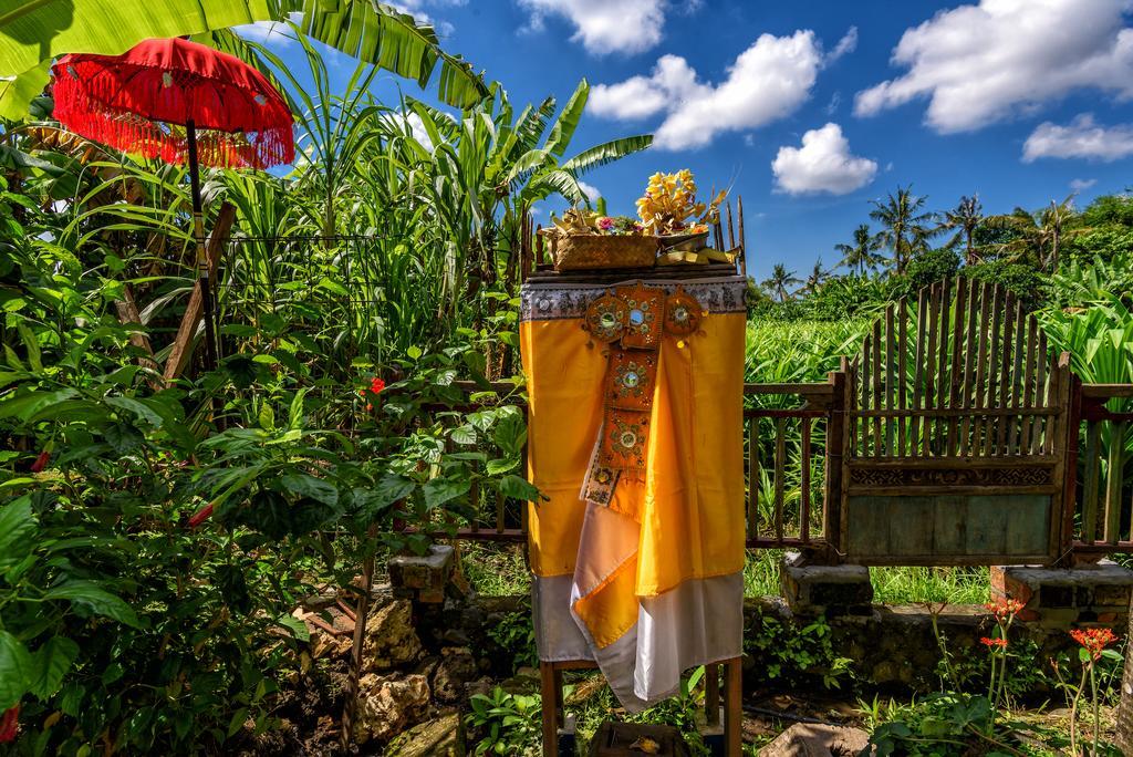 Taman Nauli Boutique Rooms Canggu Extérieur photo